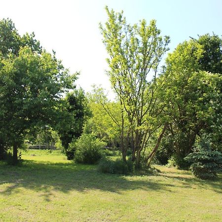 Axtburg Apartments Berbaltavar Dış mekan fotoğraf