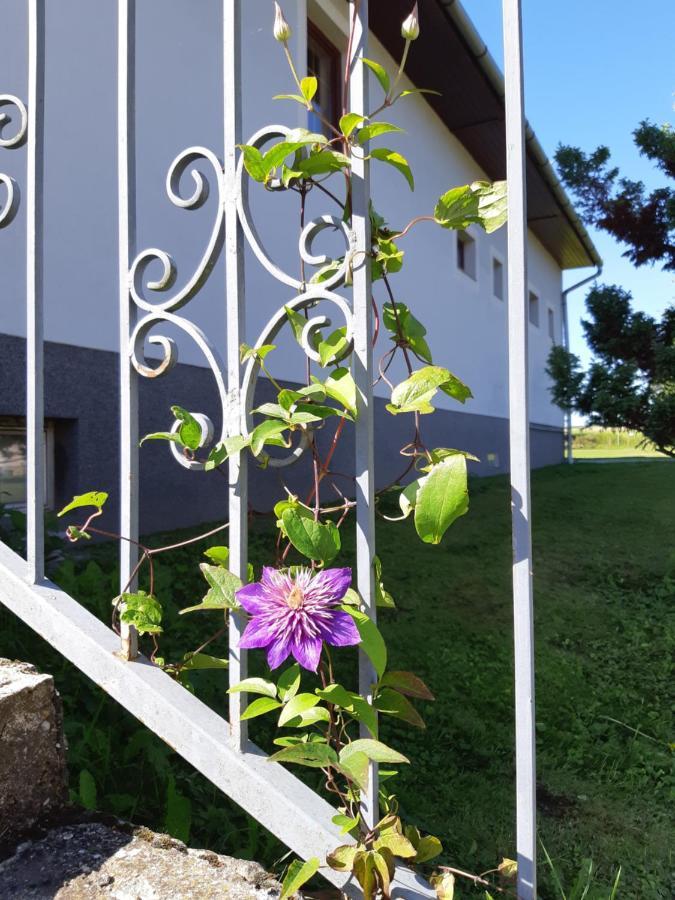 Axtburg Apartments Berbaltavar Dış mekan fotoğraf