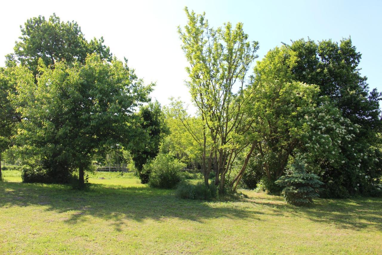 Axtburg Apartments Berbaltavar Dış mekan fotoğraf