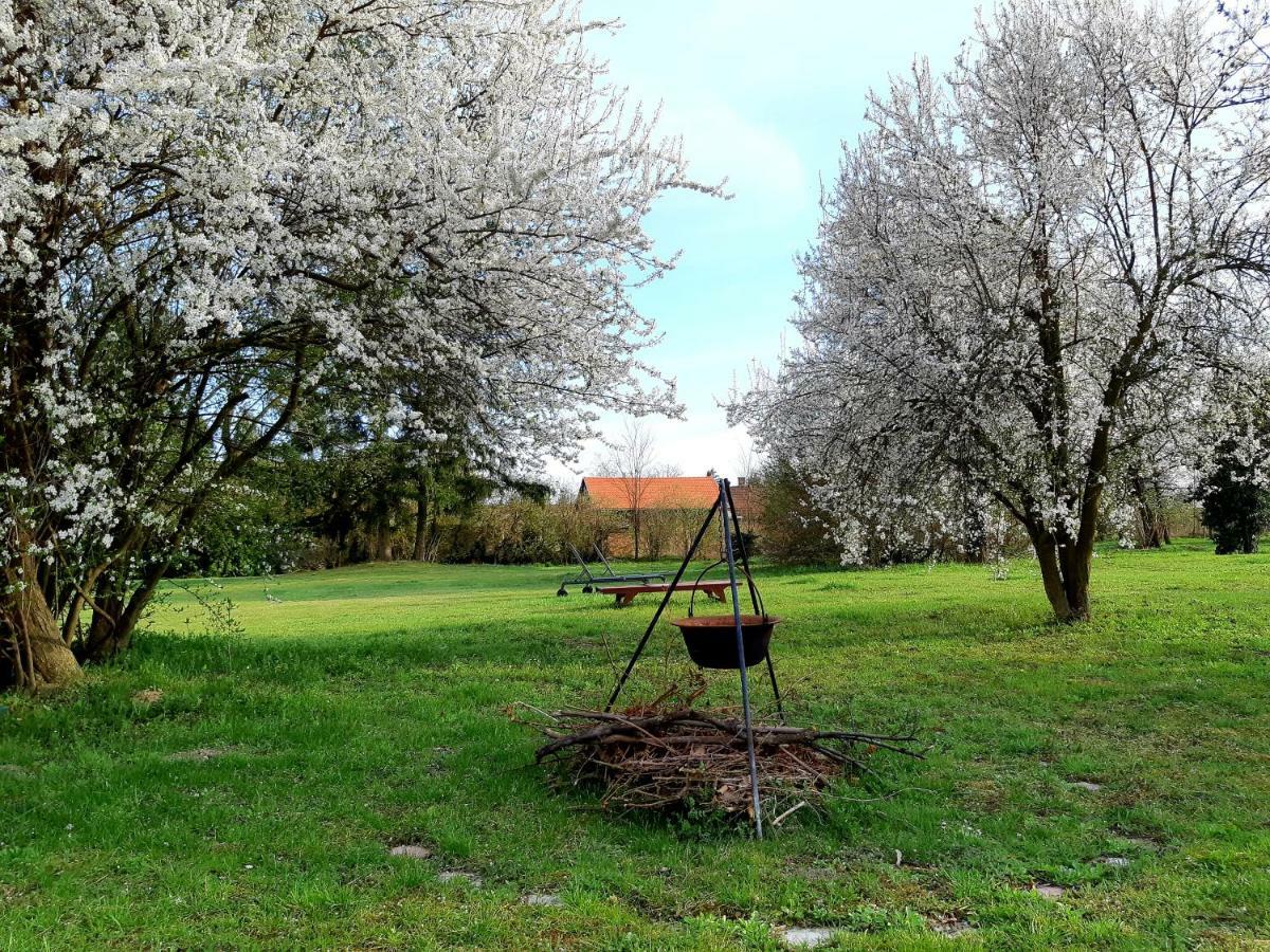 Axtburg Apartments Berbaltavar Dış mekan fotoğraf